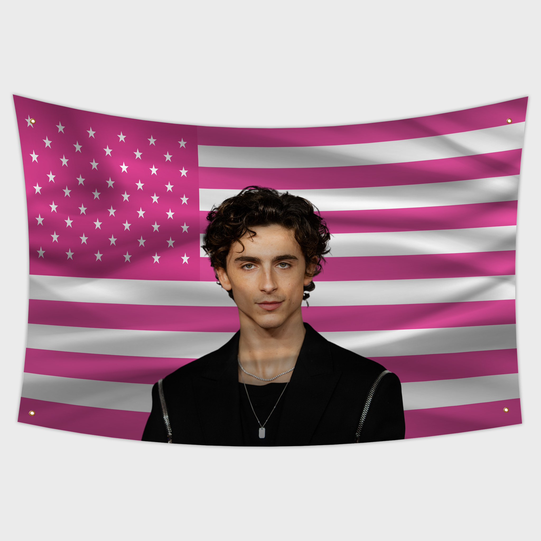 Timothée Chalamet Pink American Flag